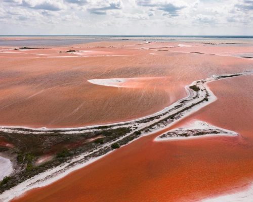 Lunaris Photography, Iris Dobre, Sesiuni foto profesionale, Sedinte foto tip natura, nature photography, Servicii
