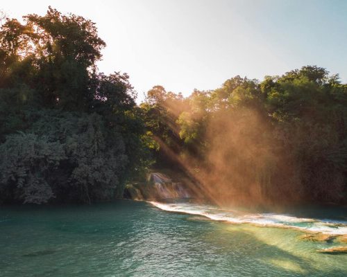 Lunaris Photography, Iris Dobre, Sesiuni foto profesionale, Sedinte foto tip natura, nature photography