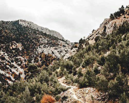 Lunaris Photography, Iris Dobre, Sesiuni foto profesionale, Sedinte foto tip natura, nature photography